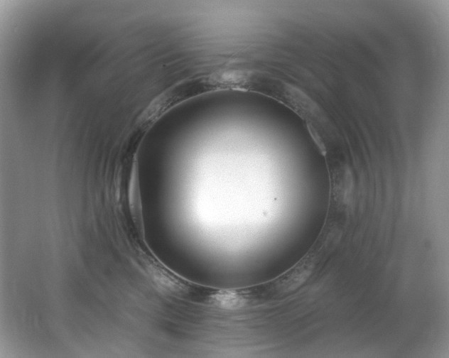 X0000062690425200512211441