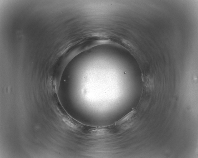 X0000062690428200512211441