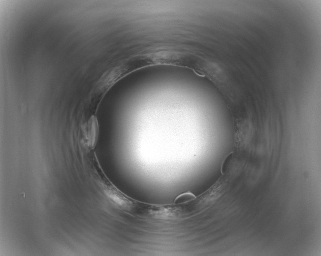 X0000062690430200512211441