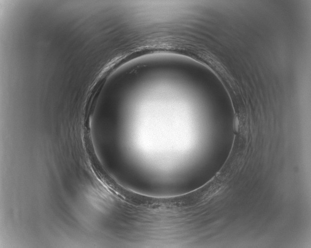 X0000062690434200512211440