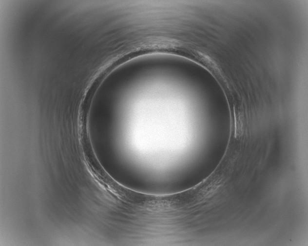 X0000062690435200512211440