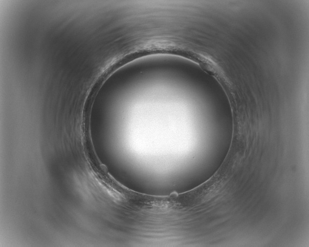 X0000062690439200512211440