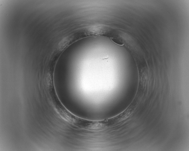 X0000062690459200512211440