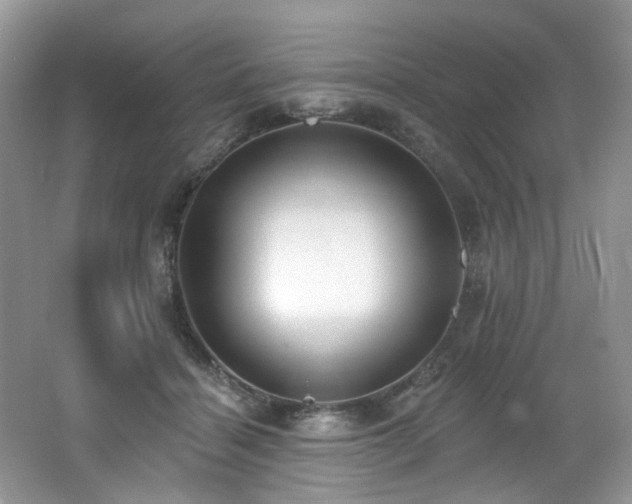 X0000062690460200512211441