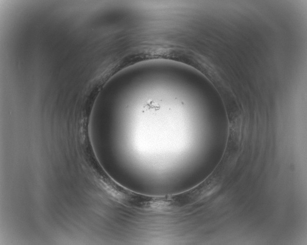 X0000062690462200512211441