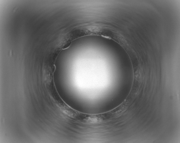 X0000062690464200512211441