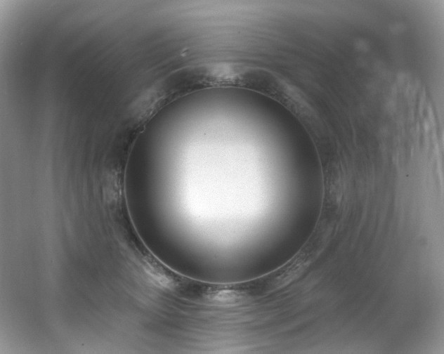 X0000062690467200512211441