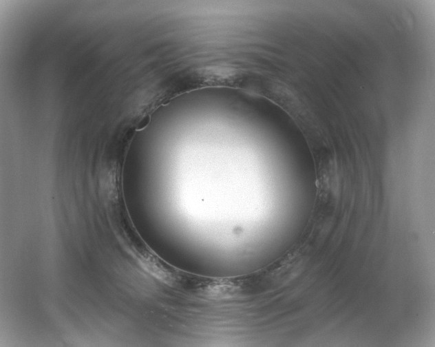 X0000062690468200512211441