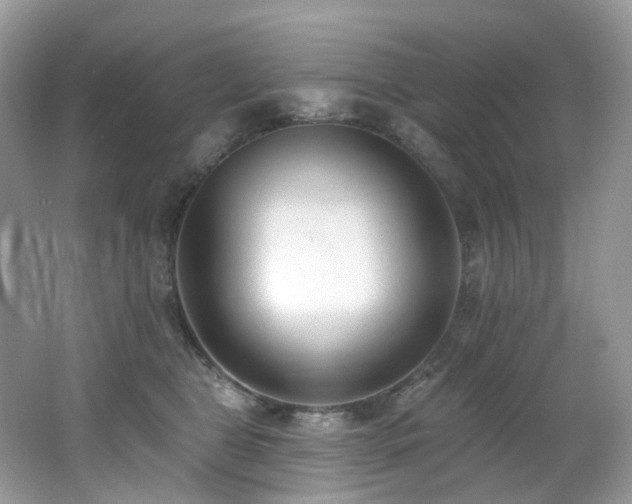 X0000062690469200512211441