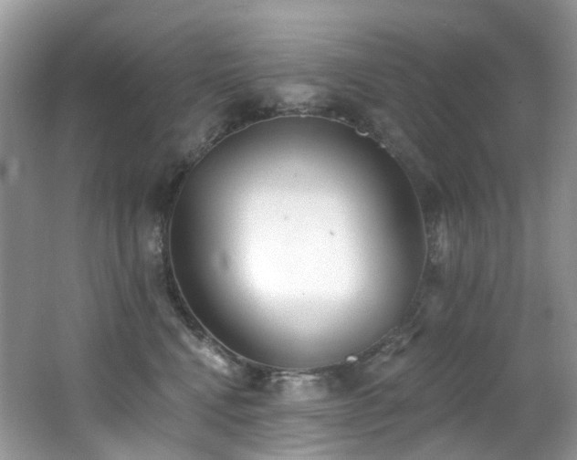 X0000062690472200512211441