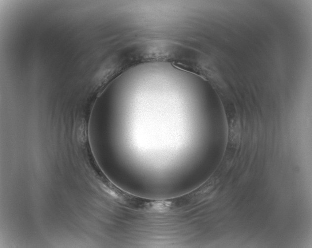 X0000062690474200512211441