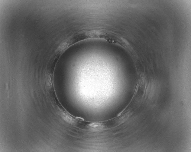 X0000062690477200512211441
