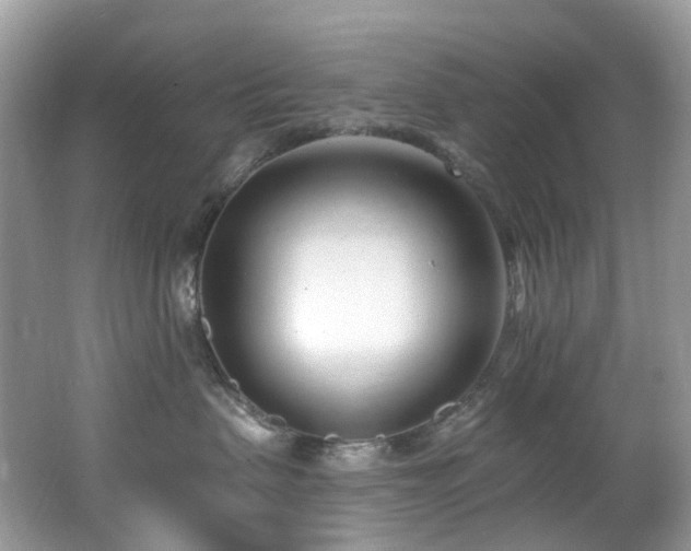 X0000062690479200512211441