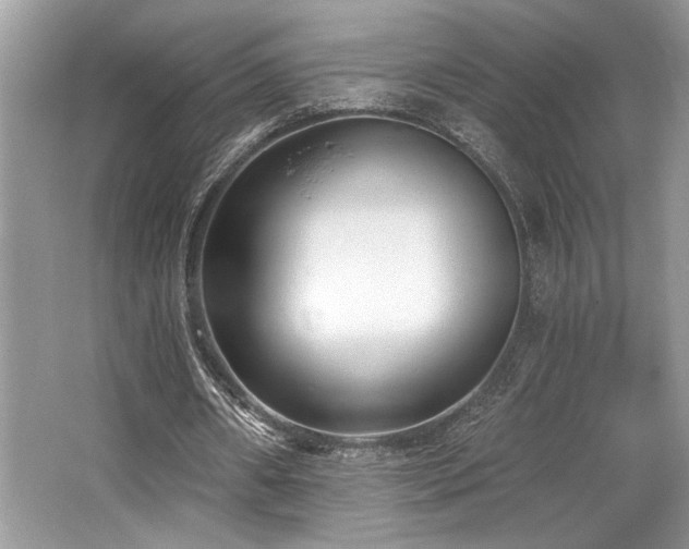 X0000062690482200512211440