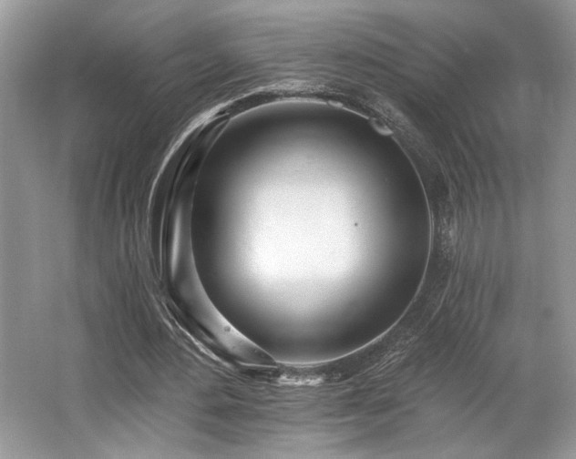 X0000062690484200512211440