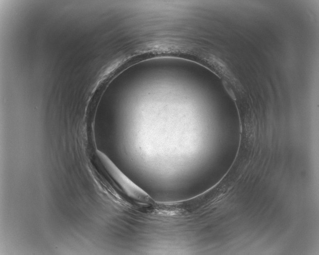 X0000062690488200512211440