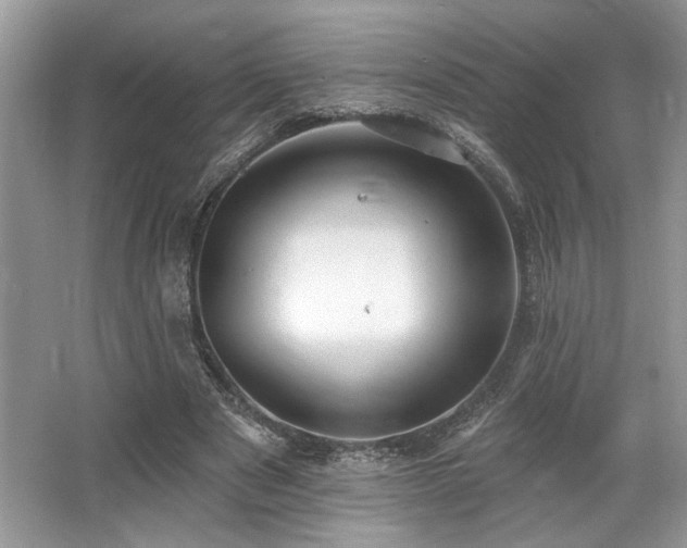X0000062690489200512211440