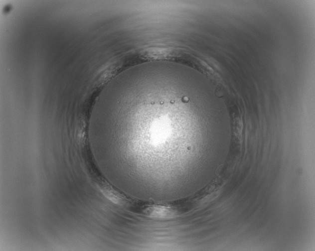 X0000062690507200512211440
