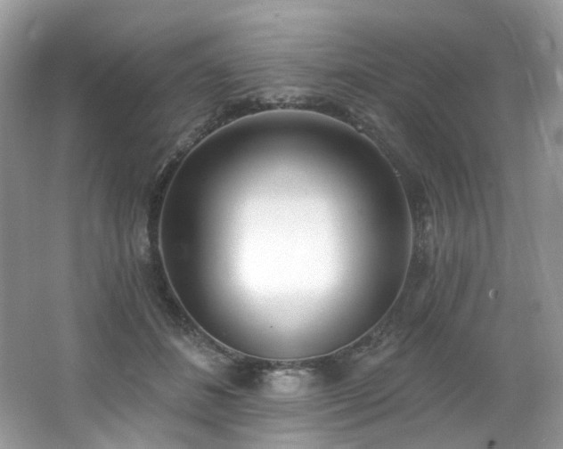 X0000062690508200512211440