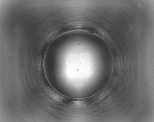 X0000062690509200512211440