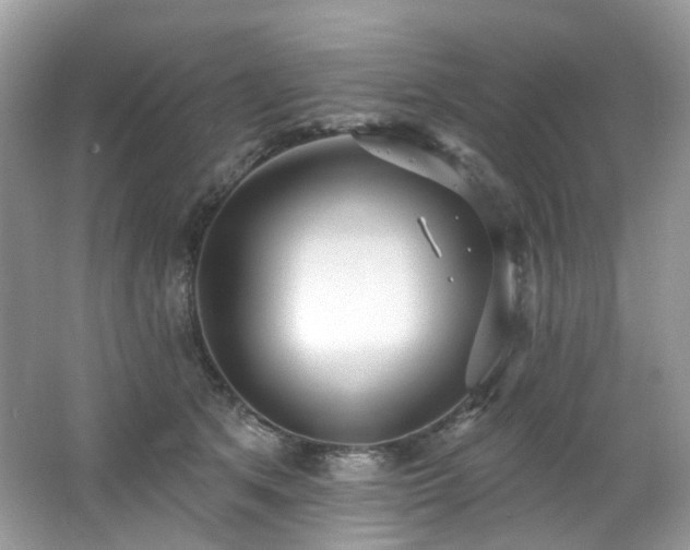 X0000062690513200512211439