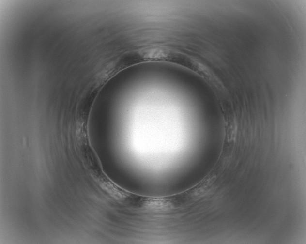 X0000062690521200512211439