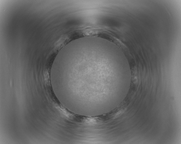 X0000062690523200512211439
