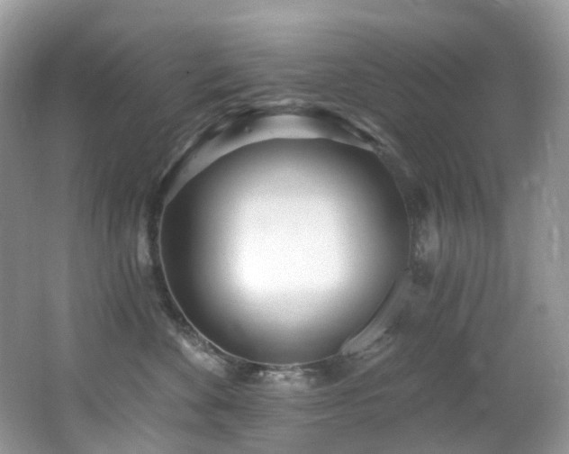 X0000062690524200512211439