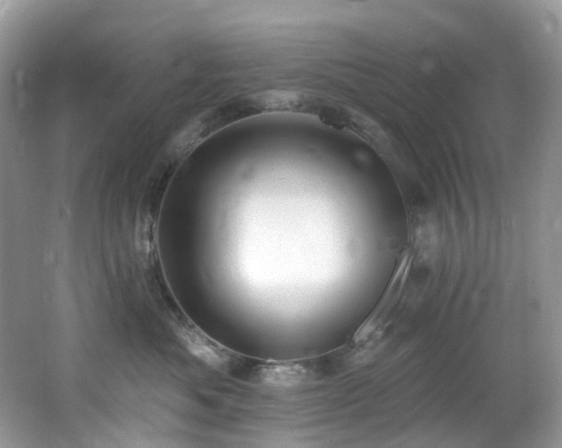X0000062690525200512211439
