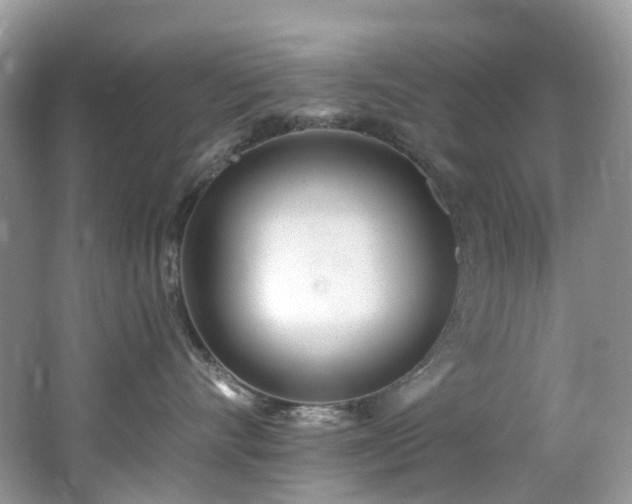 X0000062690528200512211439