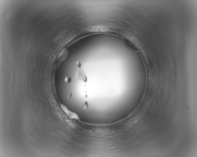 X0000062690529200512211438