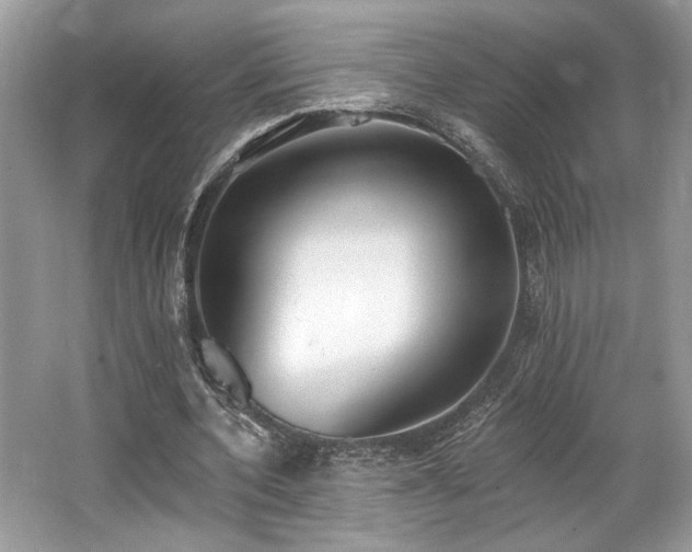 X0000062690532200512211438