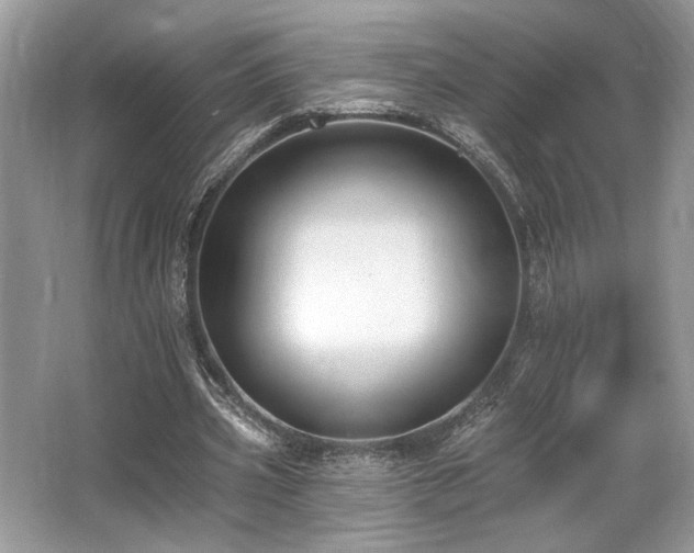X0000062690533200512211438