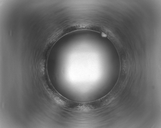 X0000062690545200512211439