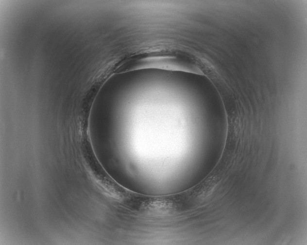 X0000062690546200512211439