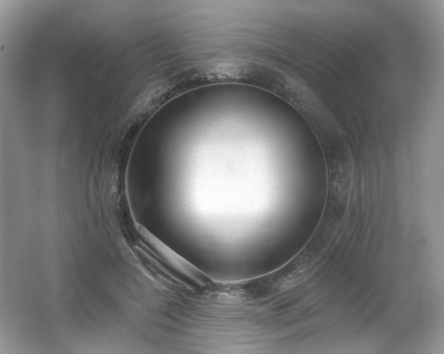 X0000062690548200512211439