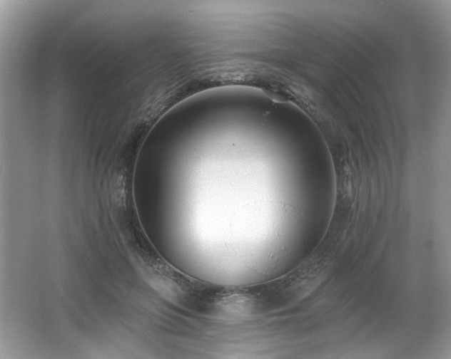 X0000062690551200512211439