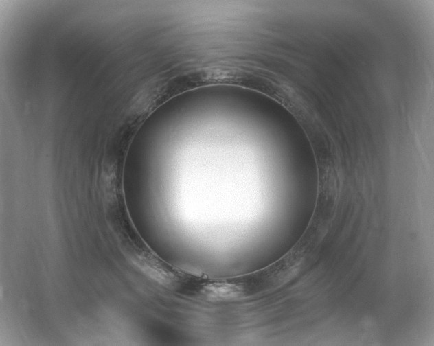 X0000062690557200512211439
