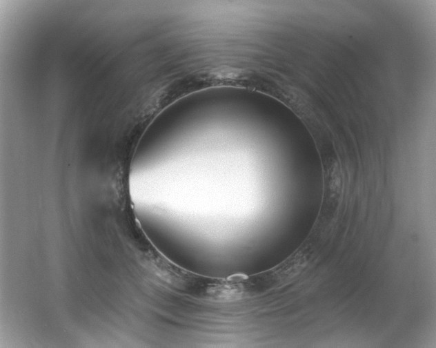X0000062690559200512211439