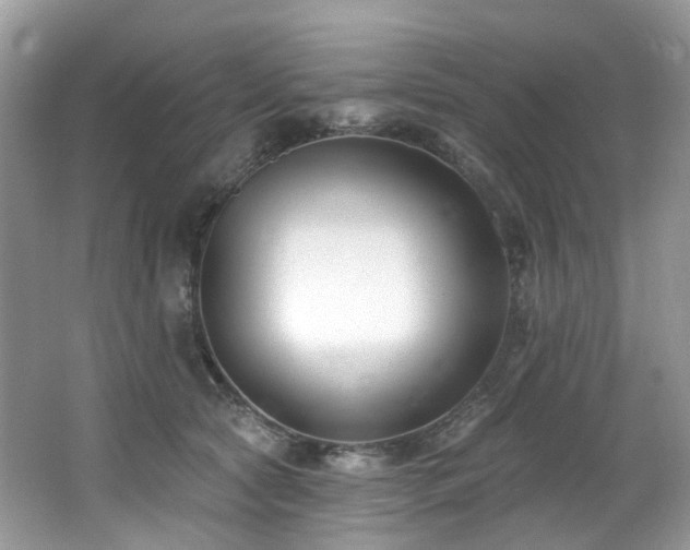 X0000062690561200512211439