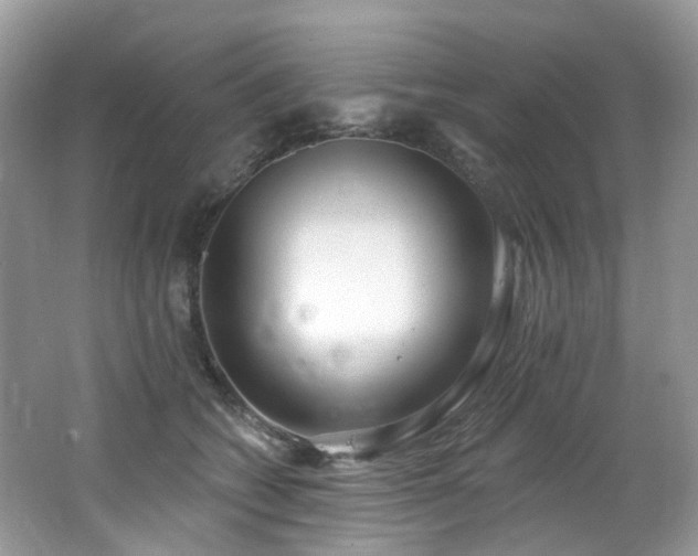 X0000062690562200512211439