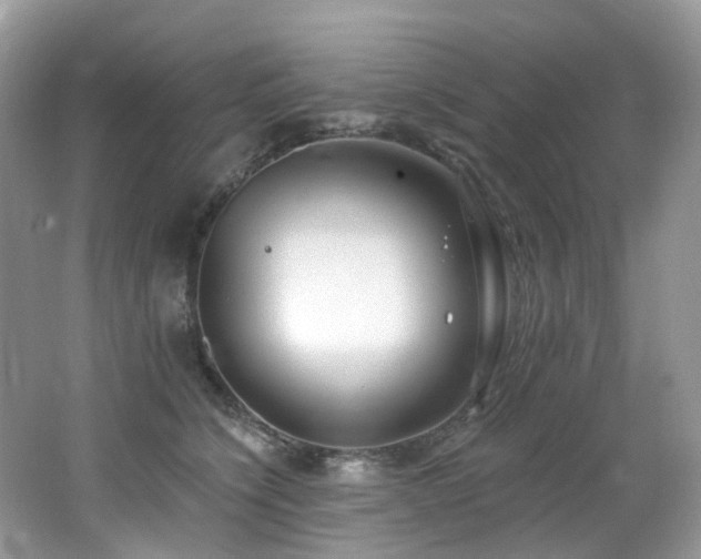 X0000062690564200512211439