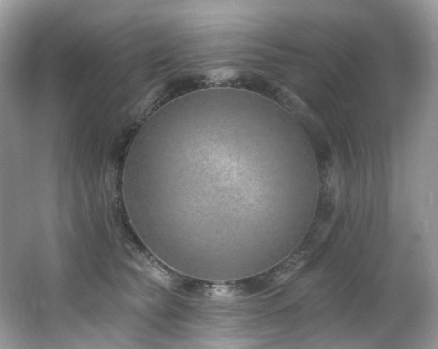 X0000062690565200512211439