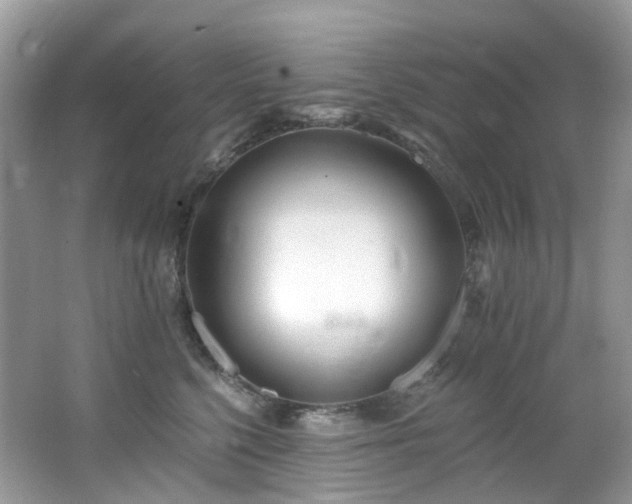 X0000062690568200512211439