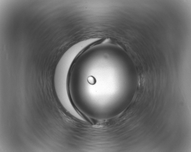 X0000062690570200512211439