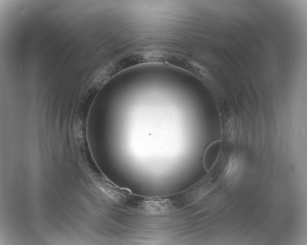 X0000062690571200512211439