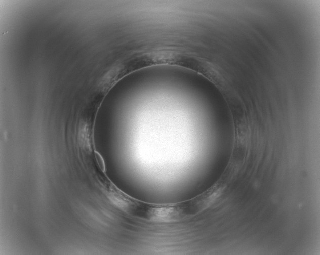 X0000062690575200512211439