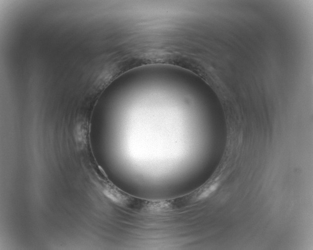X0000062690576200512211439