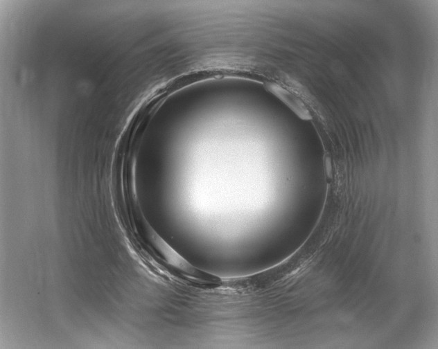 X0000062690580200512211438
