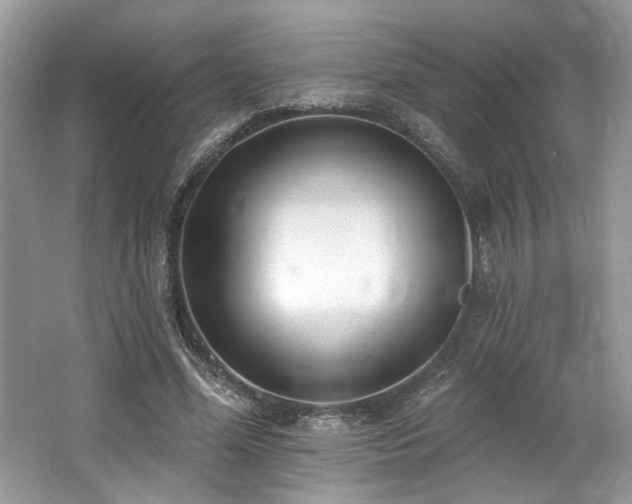 X0000062690588200512211438